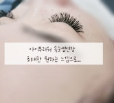 아이부러워 속눈썹 매곡 호계점