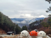 포레스트 돔
