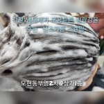 태후사랑 모현부영2차점