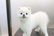 멍했냥 평택본점