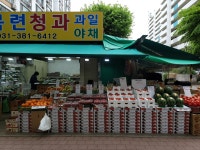 목련청과 과일야채