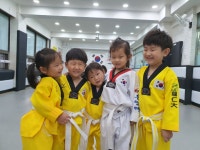 용인대국가대표태권도