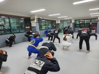 인온 주짓수 충주