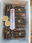 한복자엉터리김밥 본점