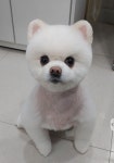 랄라몽