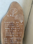 카페느티