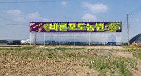 바른포도농원