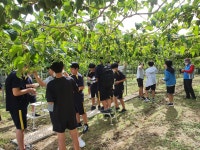 도깨비산채농장
