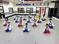 국제태권도
