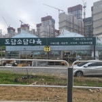 도담소담다육