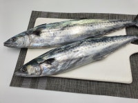 에스제이씨푸드