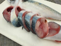 에스제이씨푸드