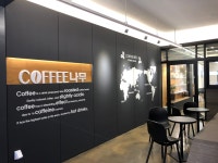 COFFEE 나무
