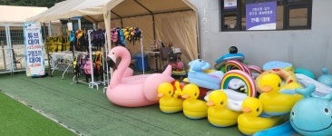 여기다댕댕이 골드펫&도그베이