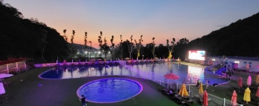 여기다댕댕이 골드펫&도그베이