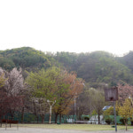 남이터집