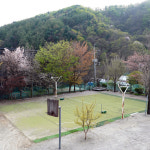 남이터집