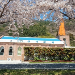 상덕교회