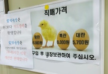 설악농장 직거래판매장