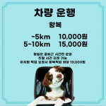 멍스데이