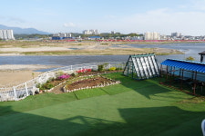 블루아라