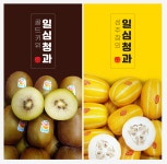 일심청과