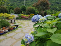 팔용펜션