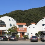 달초롱 돈까스 본점