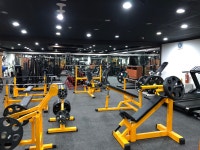 월드휘트니스