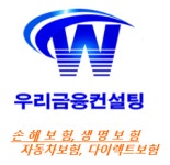우리금융컨설팅
