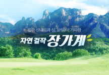 유한회사 주원관광 | 하나투어 주원관광