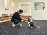 이룸독 반려견 유치원&호텔