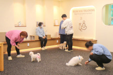 이룸독 반려견 유치원&호텔