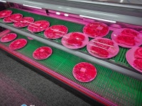 용호정육점 식당