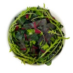 샌드밀 영광홍농점