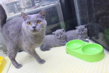 멍했냥 평택본점