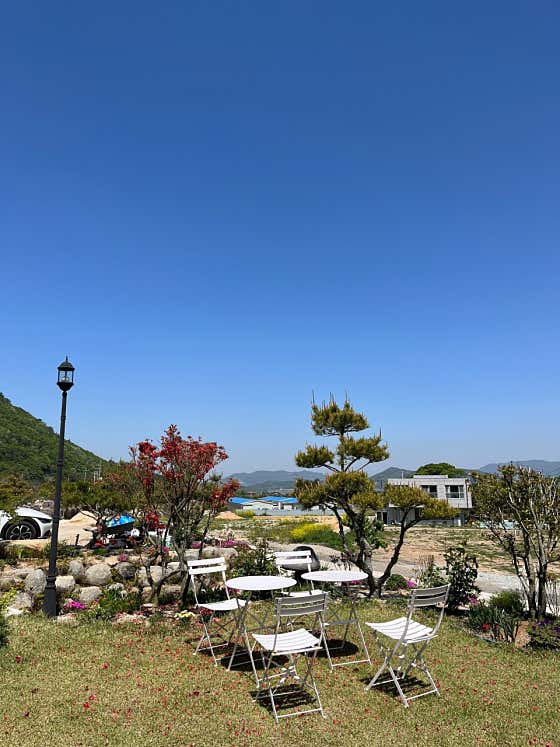나인포레스트 사진