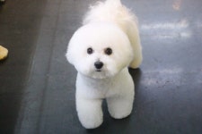 멍했냥 평택본점