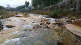 계곡이 있는 배가네민박