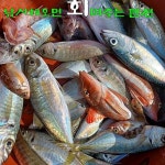 욕지사계절펜션민박