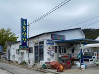 왕창조개한판