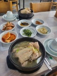 장수현 산양삼을 품은 닭