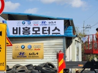 비홍모터스