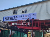 비홍모터스