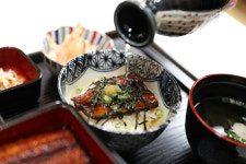 행운의돌격장어