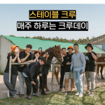 제주도 게스트하우스파티 스테이블