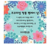 모모펫살롱
