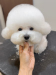 멜로우그루밍