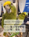 리프패럿 광주풍암점
