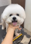 멜로우그루밍